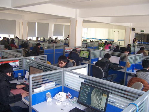 國子軟件官網 專業信息系統集成服務，助力企業數字化升級